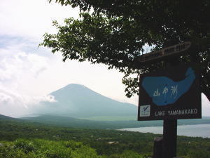 自然に囲まれて－三国峠からの富士山