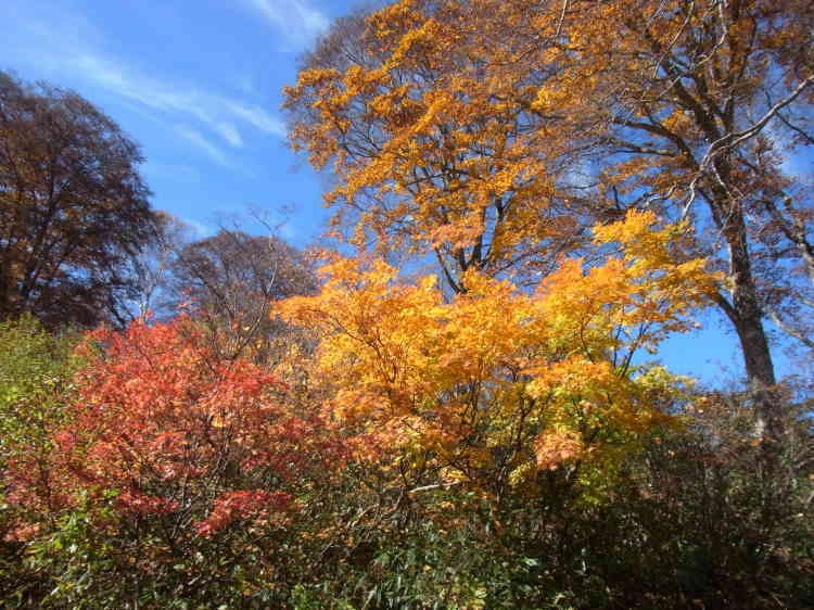 温泉街の素朴な小さな宿での素泊まりプラン　１３か所に点在する外湯めぐり・お買い物に最適な立地 