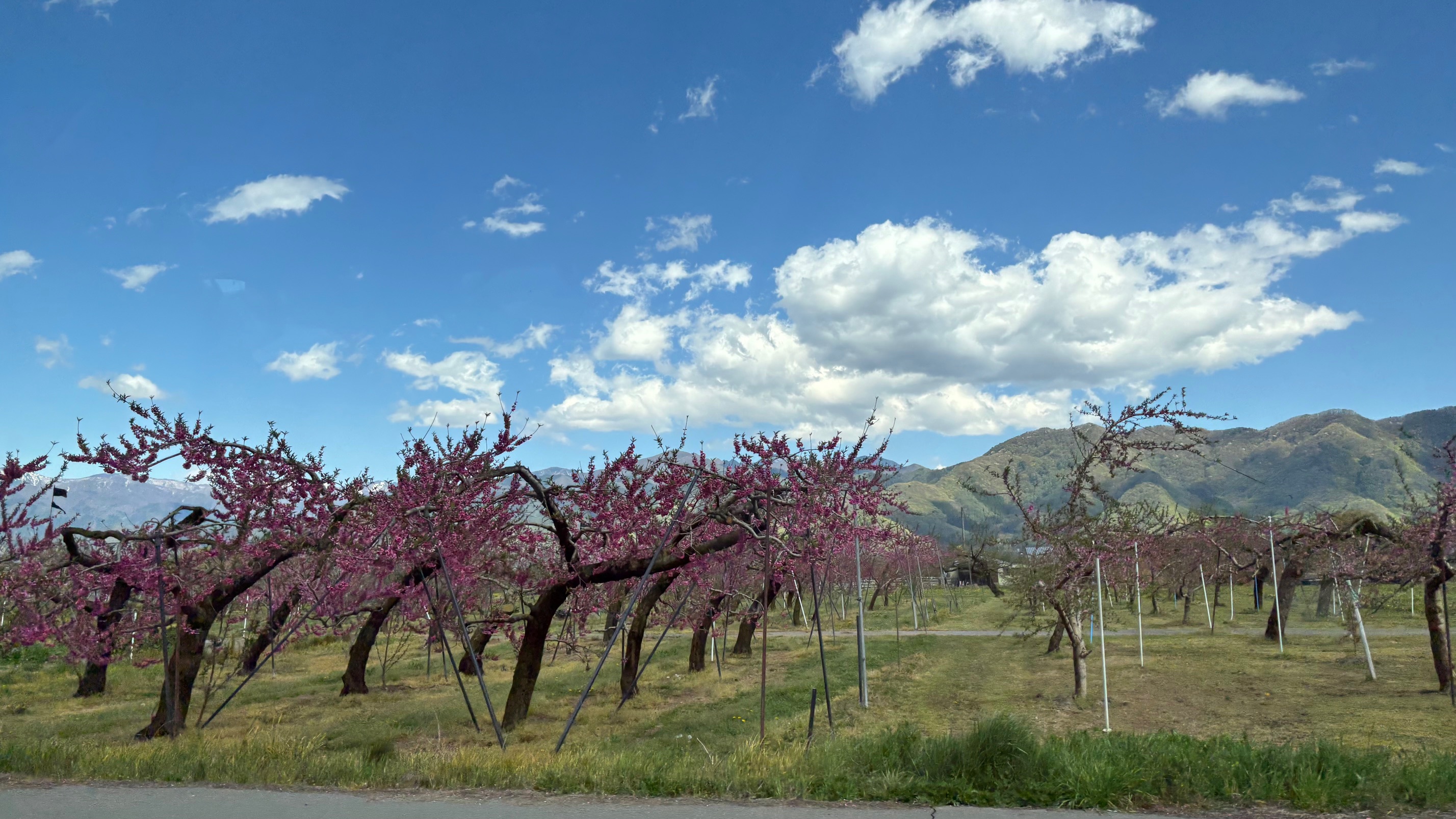 北信州の春　信州中野