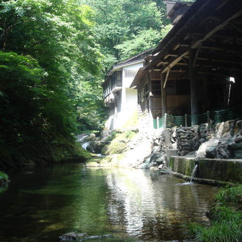 Pemandangan aliran gunung musim panas