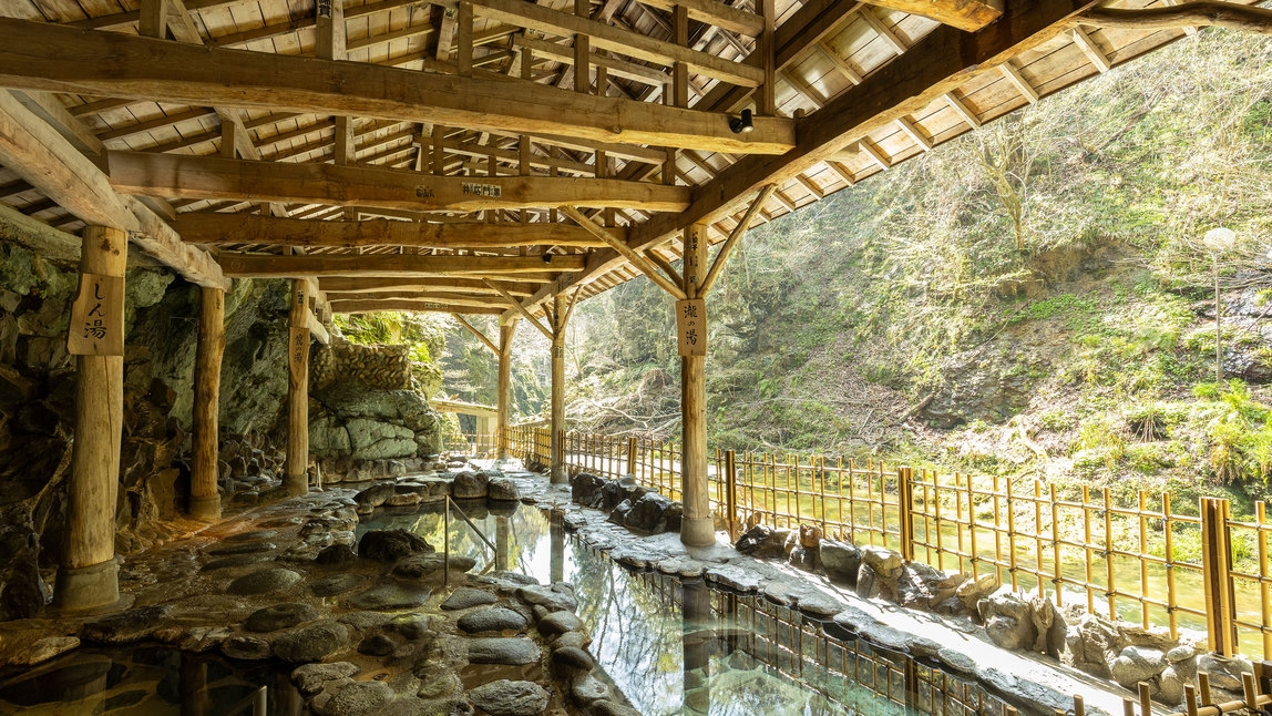 【グルメプラン】本ズワイガニ姿まるごと食べ放題付1泊2食 基本バイキングプラン