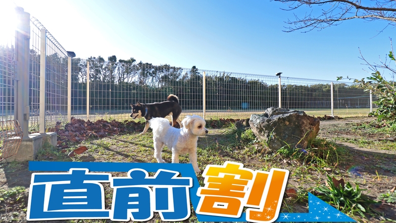 【直前割】素泊まり◆ワンちゃんOK☆自由に過ごす気まま旅[ペット棟]