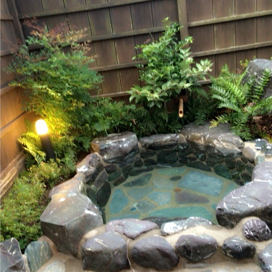 野の花の宿 あさゆまの木