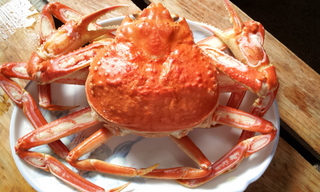 茹で蟹
