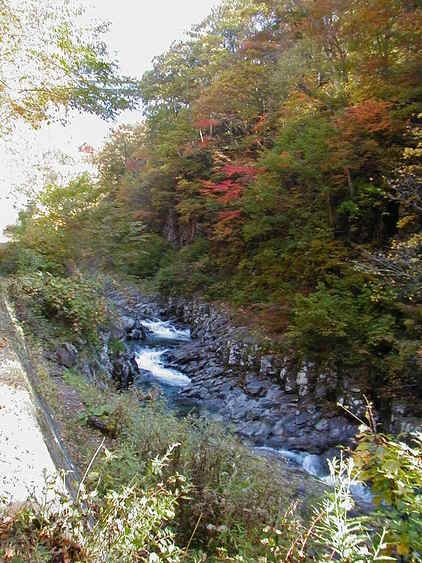 極上の会津旅　スタンダードプラン『露天貸切＆桜刺し付一泊二食』(お蕎麦は付きません）