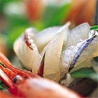 【追加料金なし】お魚キトキト舟盛りがド〜ン！１泊２食プラン
