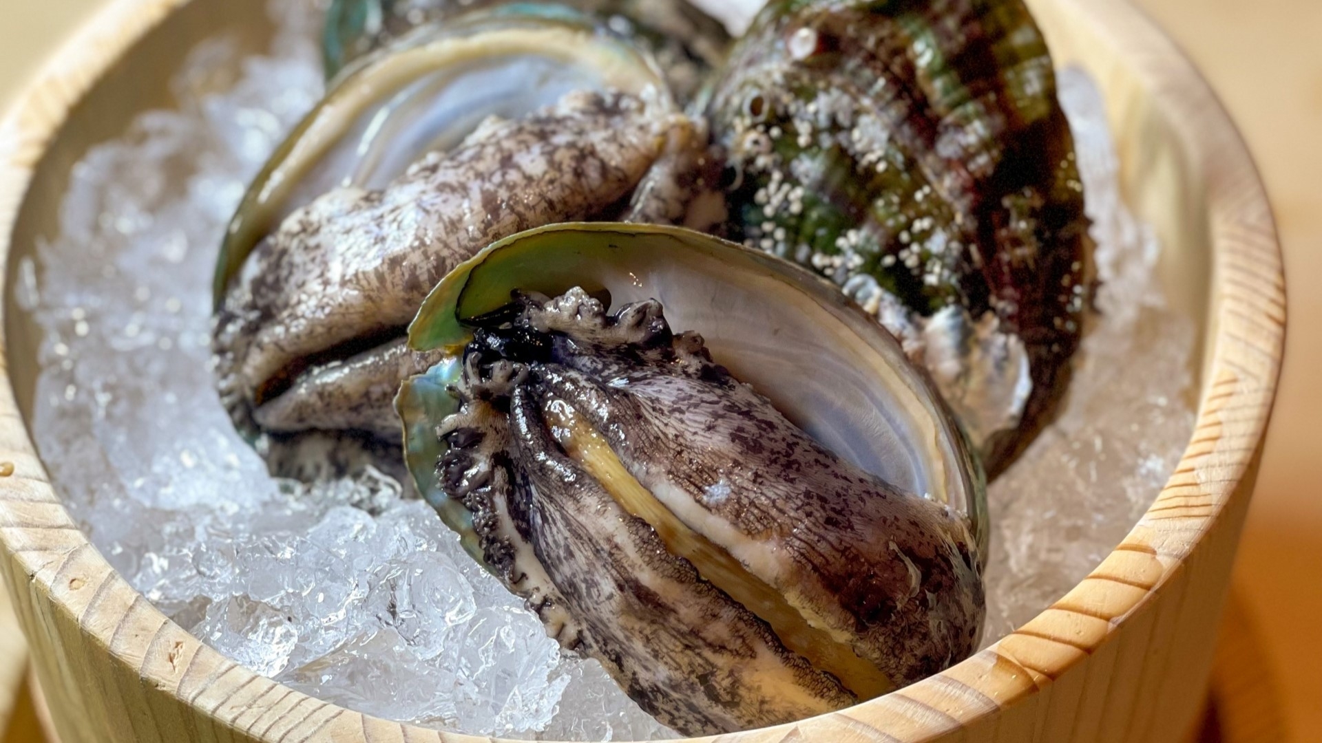 ＜夕食グレードUP＞造里・焼き・揚げから選べる＜極上の鮑＞と岡山産食材を愉しむ。鮑付き特別会席プラン