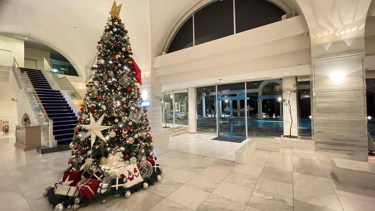 【12月20日〜25日限定】大切な一日をリマーニで★ギリシャ料理★クリスマス特別ディナープラン