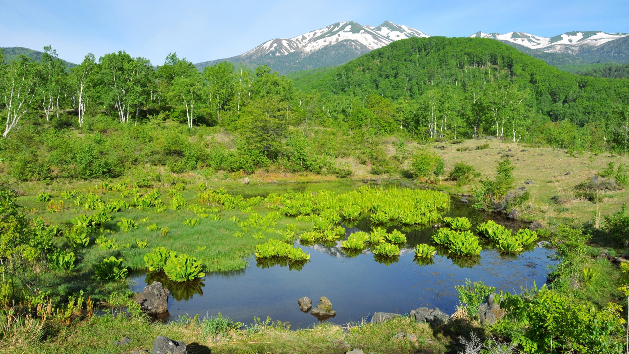 乗鞍高原 まいめの池