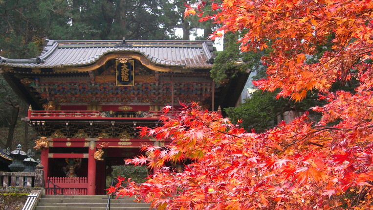 日光山輪王寺 大猷院（仁王門、紅葉）