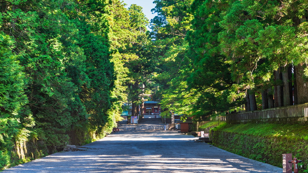 東照宮の参道