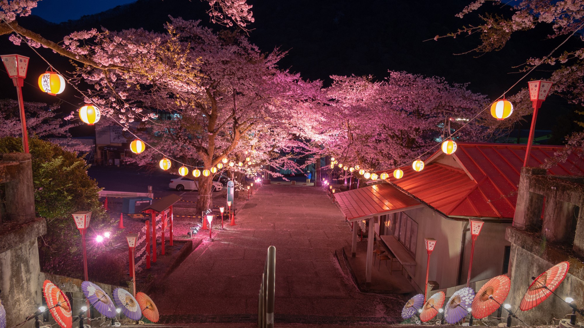鬼怒川温泉夜桜ライトアップ～鬼怒川万華郷～