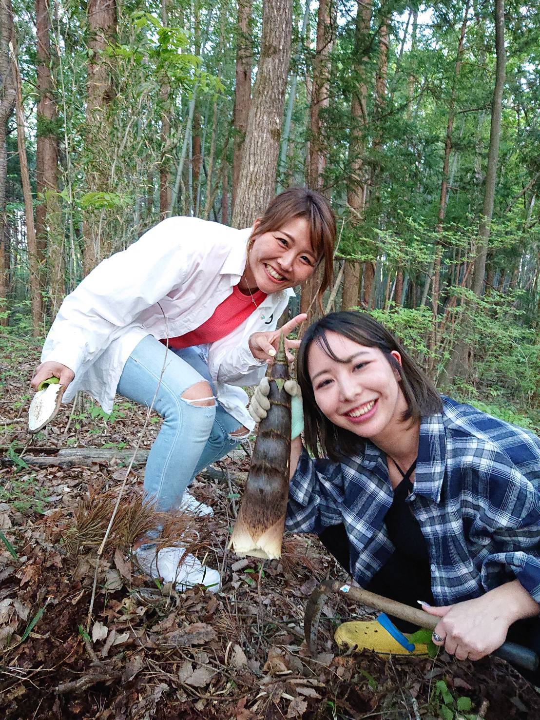 一緒にタケノコ掘り