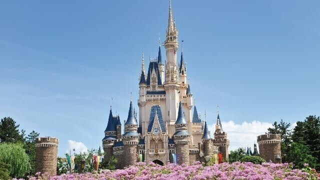 【チェックイン日入園】東京ディズニーランド(R)１デーパスポート購入権利付きプラン（朝食付き）