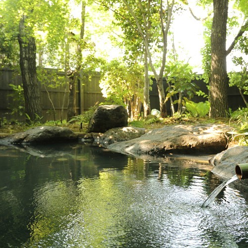 ◎ 【平日限定】熊本の肥後牛のローストがメインのお値打ちプラン