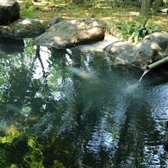 【露天風呂】岩風呂の湯口