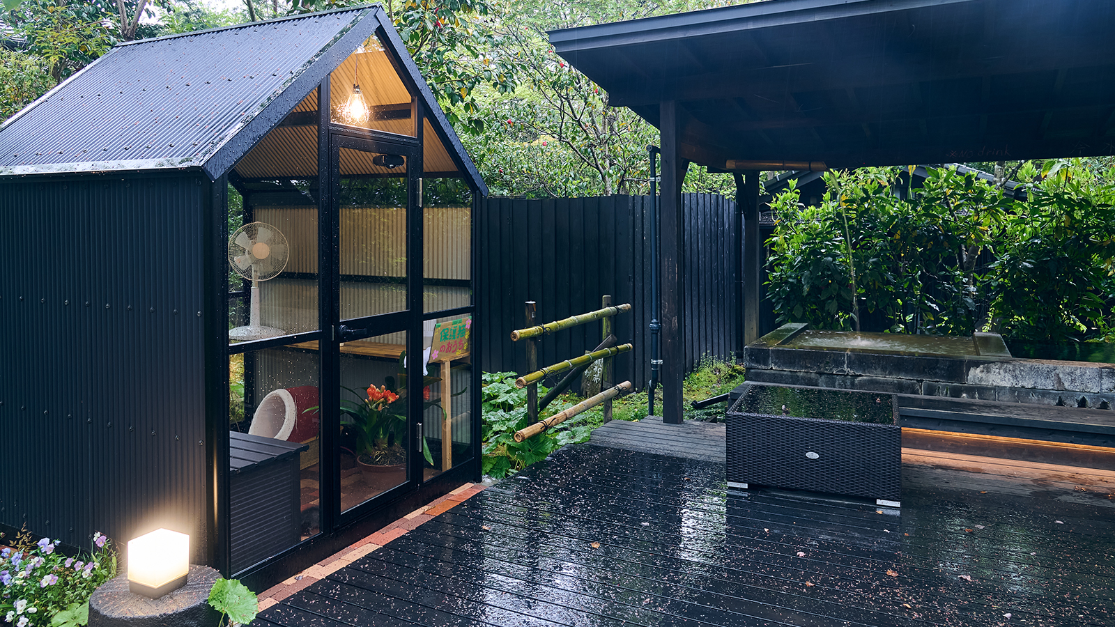 【保護猫のおうち】