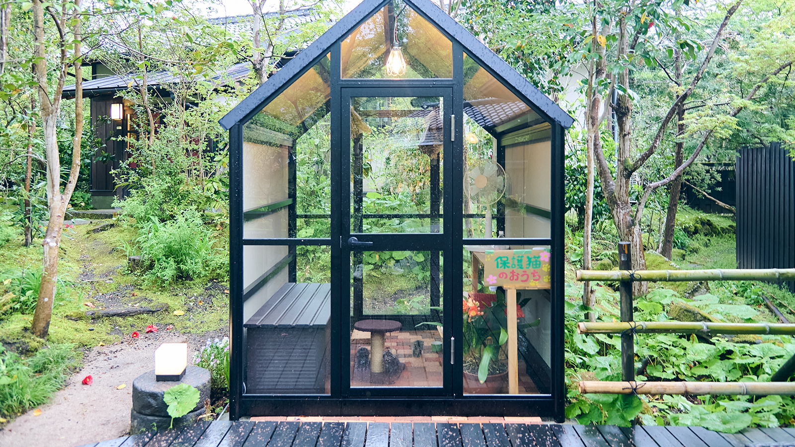 【保護猫のおうち】