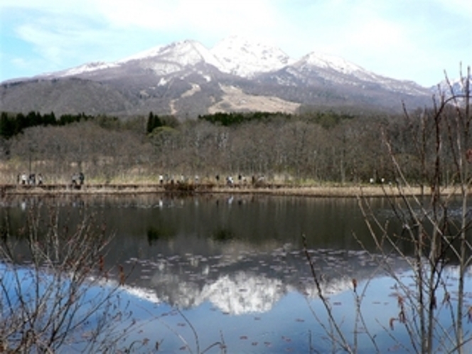妙高山といもり池（春）