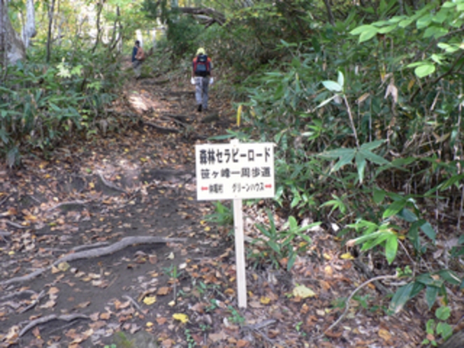 笹ヶ峰一周歩道