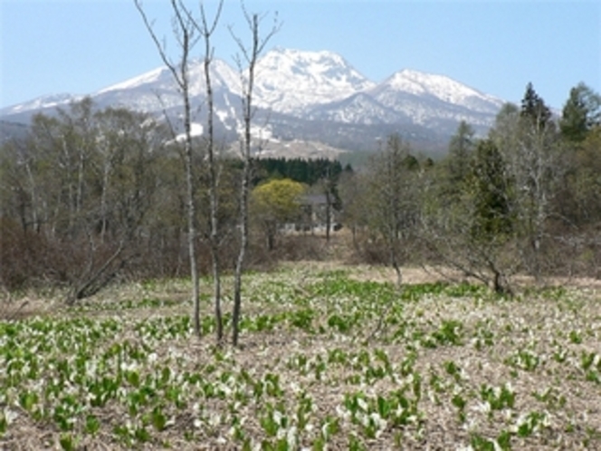 いもり池と妙高山（4月）