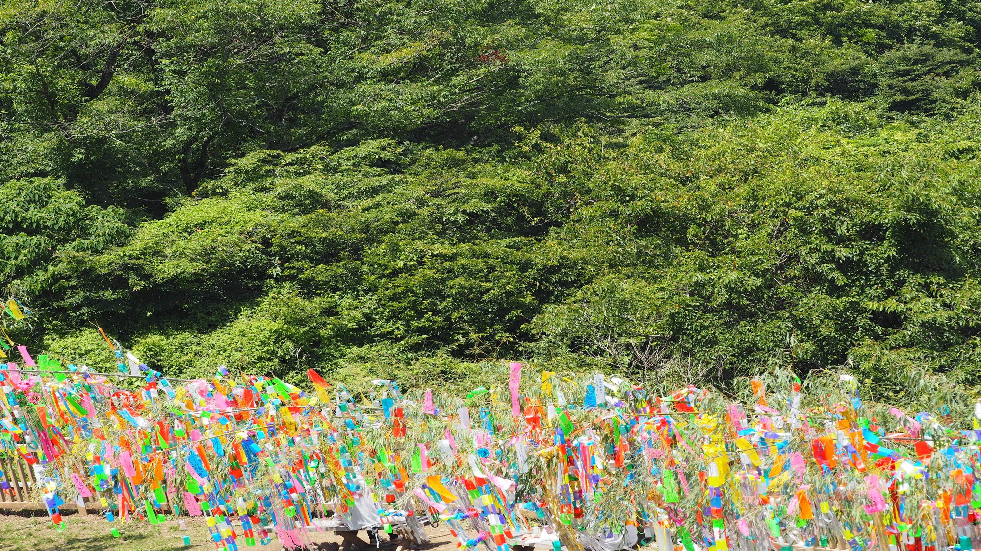 亀の井ホテル 筑波山 - 写真 217