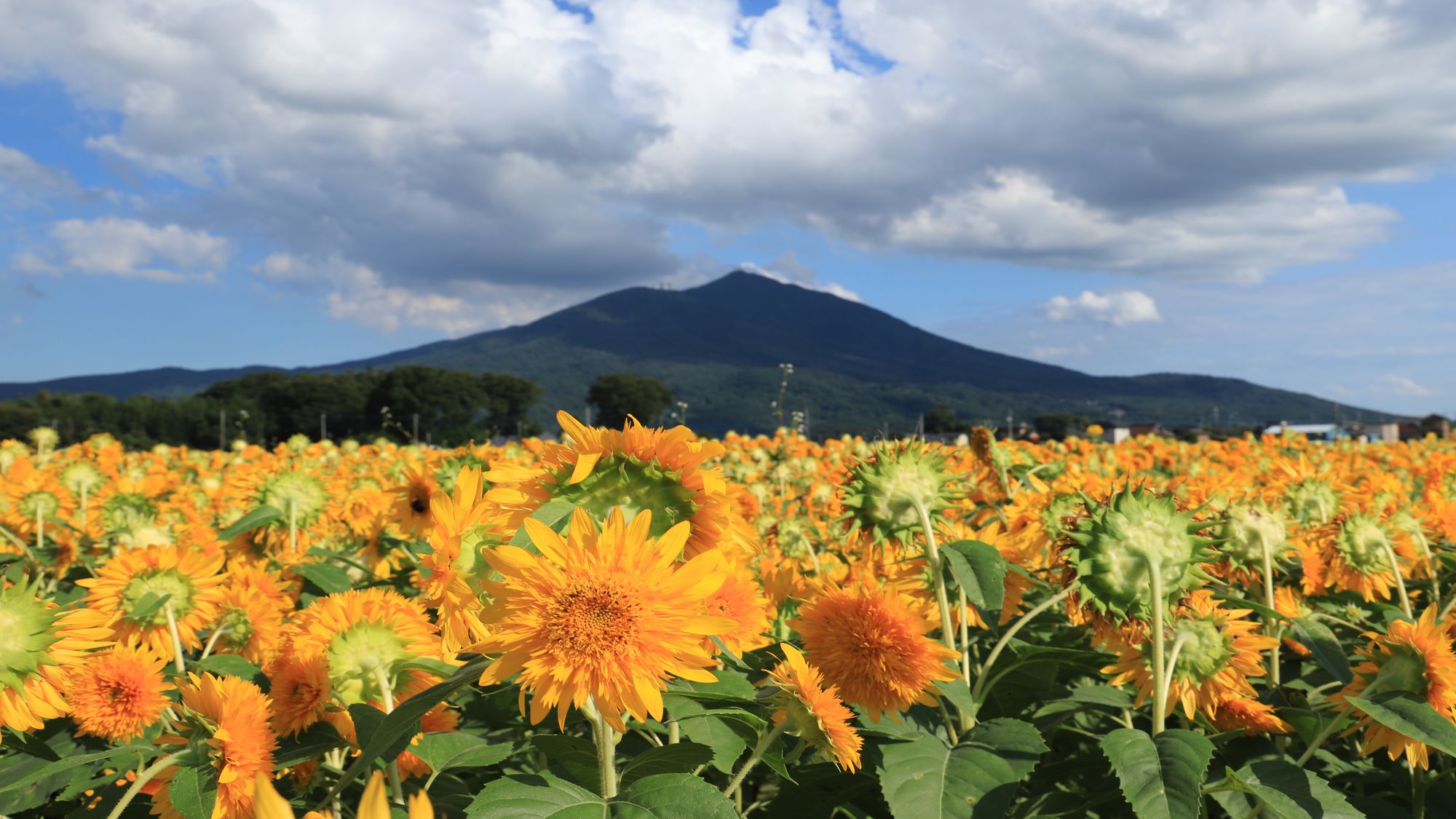 亀の井ホテル 筑波山 - 写真 219