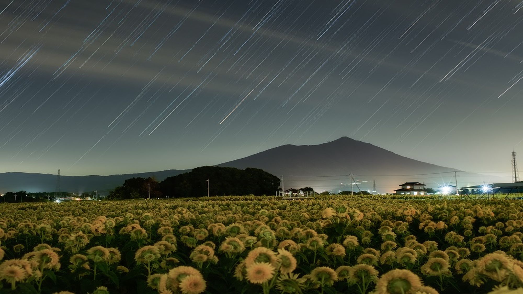 亀の井ホテル 筑波山 - 写真 208
