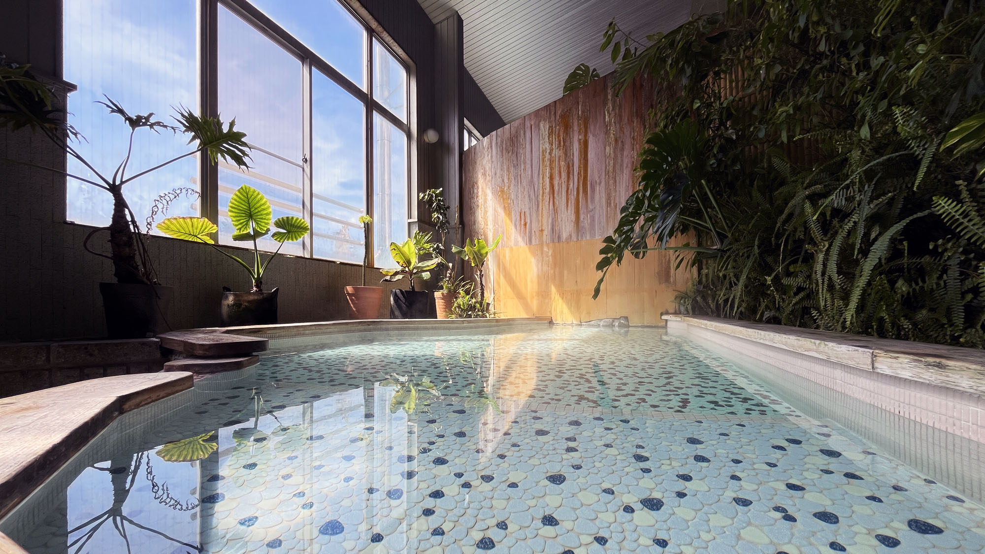 女湯：当館名物！ジャングル風呂♪保湿効果も高い天然温泉