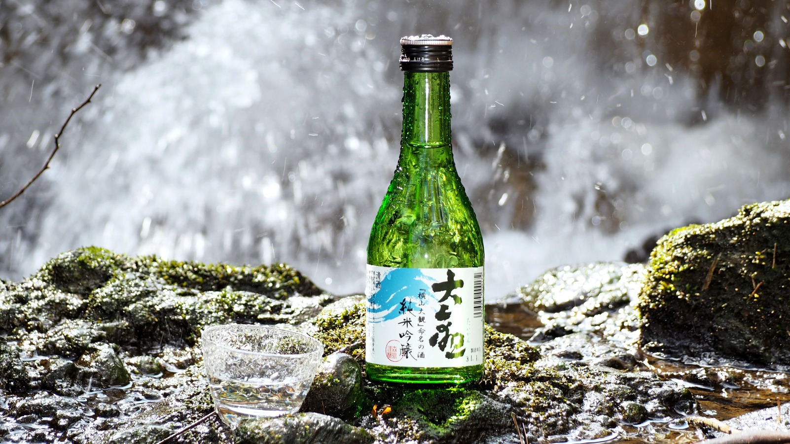 【当館おすすめ】 新鮮！海の幸を満喫♪豪華な ≪ 舟盛り ≫ を 地酒 と共に♪ ◆＜お部屋食＞