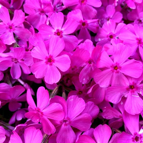 【ＧＷ直前割】＜お日にち限定！＞★最大20％OFF★ＧＷは北茨城へお得にGO♪＜３歳以下添い寝無料＞