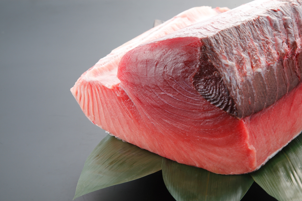 【まぐろ三昧】−鮪を味わい尽くす− ◆ 竹の葉が贈る〜絶品≪ まぐろフルコース ≫！ご賞味あれ ◆