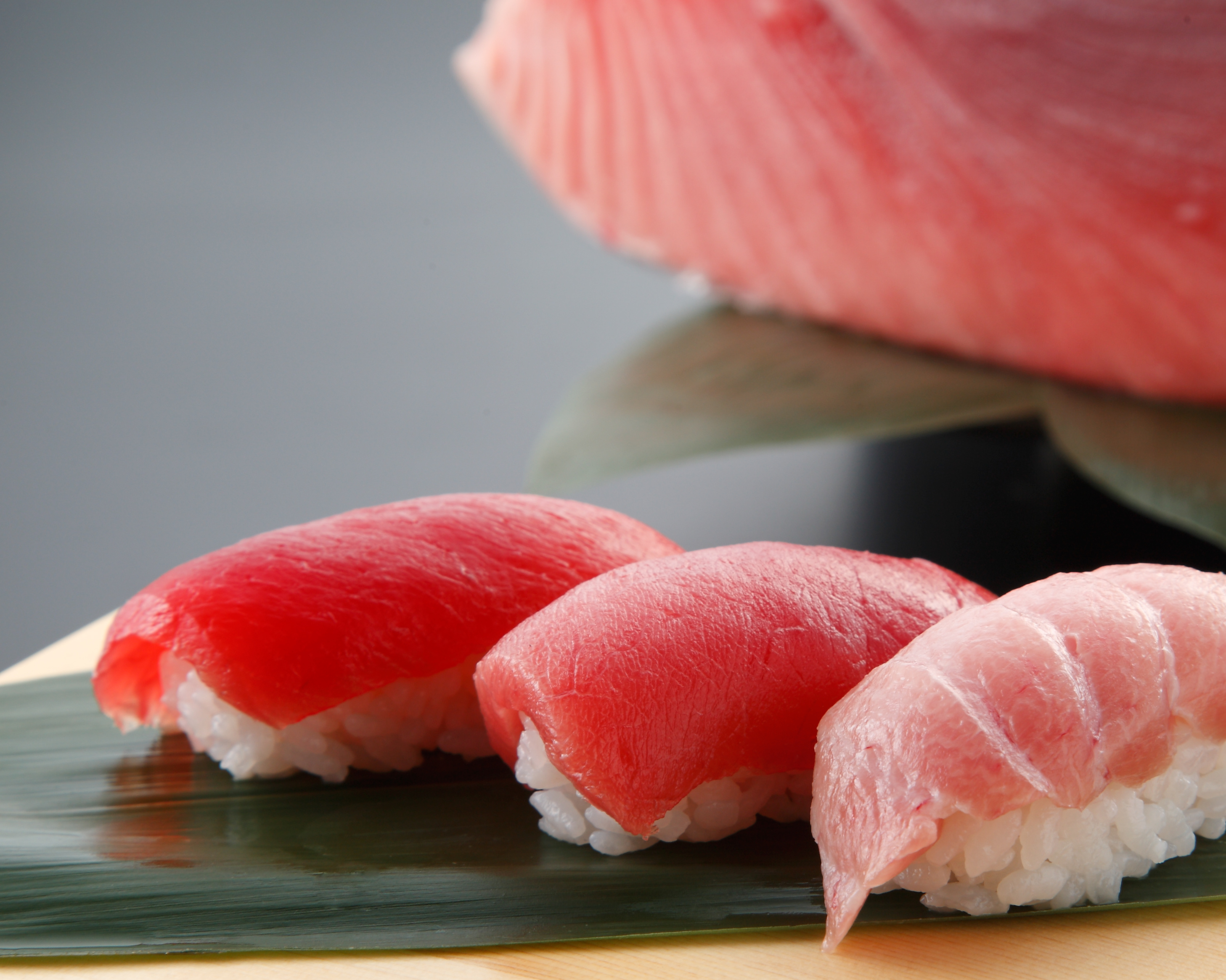 まぐろの握り鮨