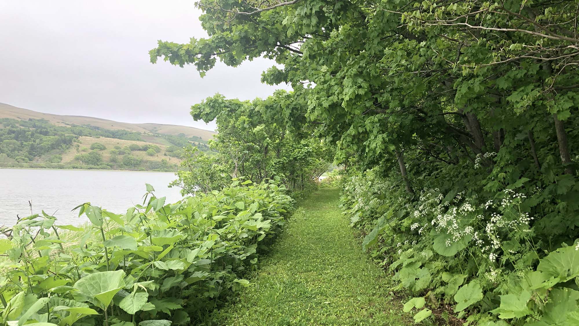 ・【周辺】自然を眺めながら湖畔をのんびり歩くと、約1時間ほどで1周することができます