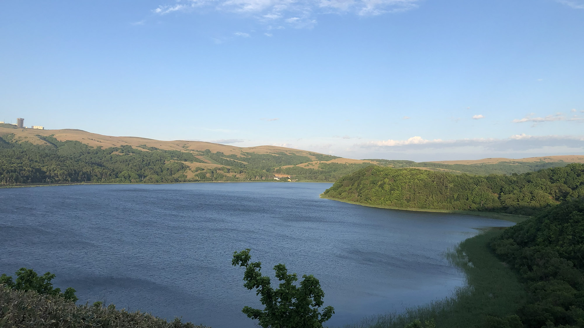 ・【周辺】春には渡り鳥たちが訪れます。様々な野鳥を観察してみてはいかがでしょうか