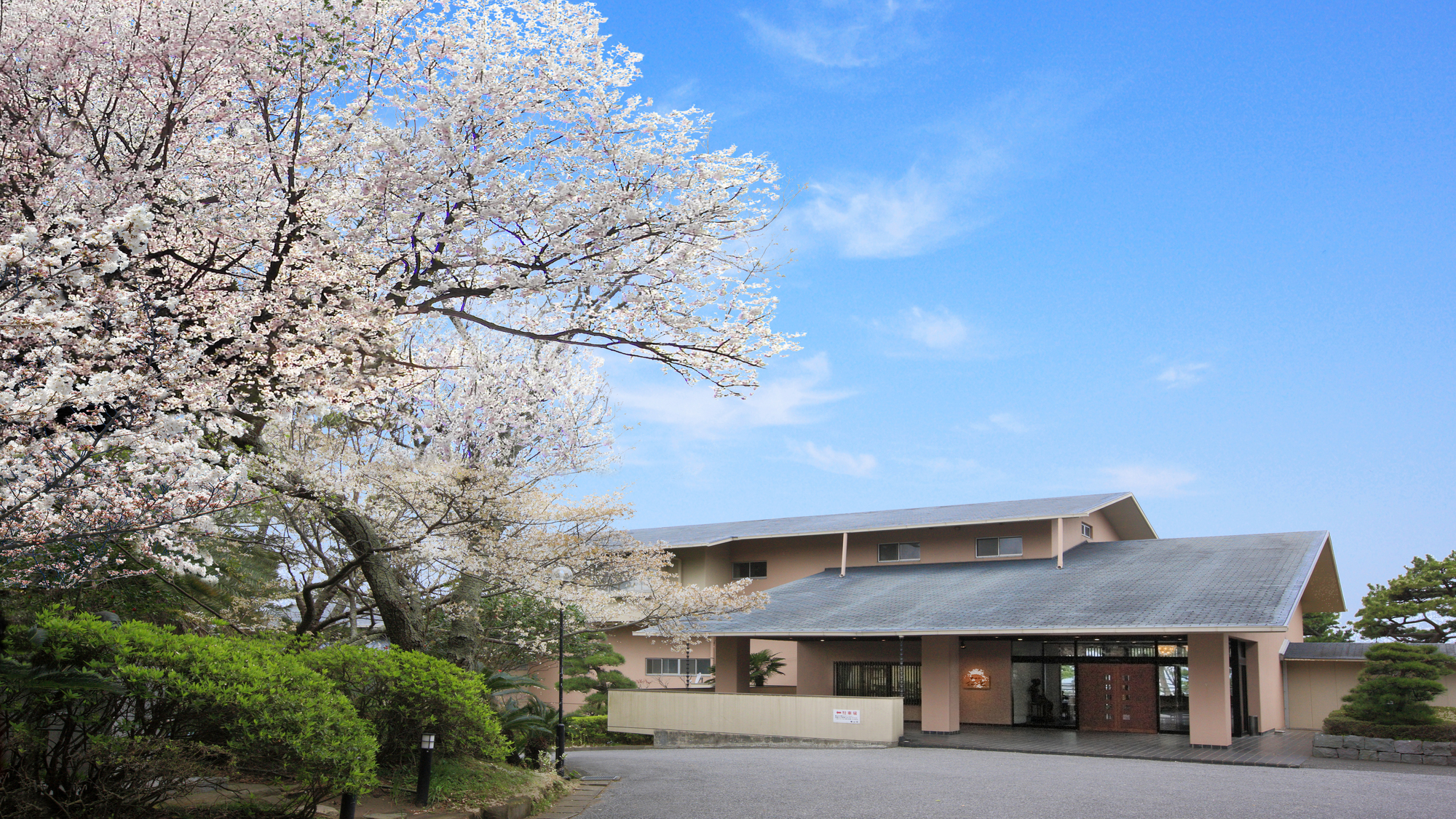 鳩山荘松庵（春）