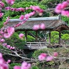 日本庭園の中心に位置している橋「筑紫橋」