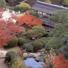 紅葉に彩られた秋の日本庭園