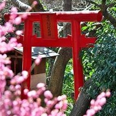 戦前から当荘にある日本庭園のお稲荷さん