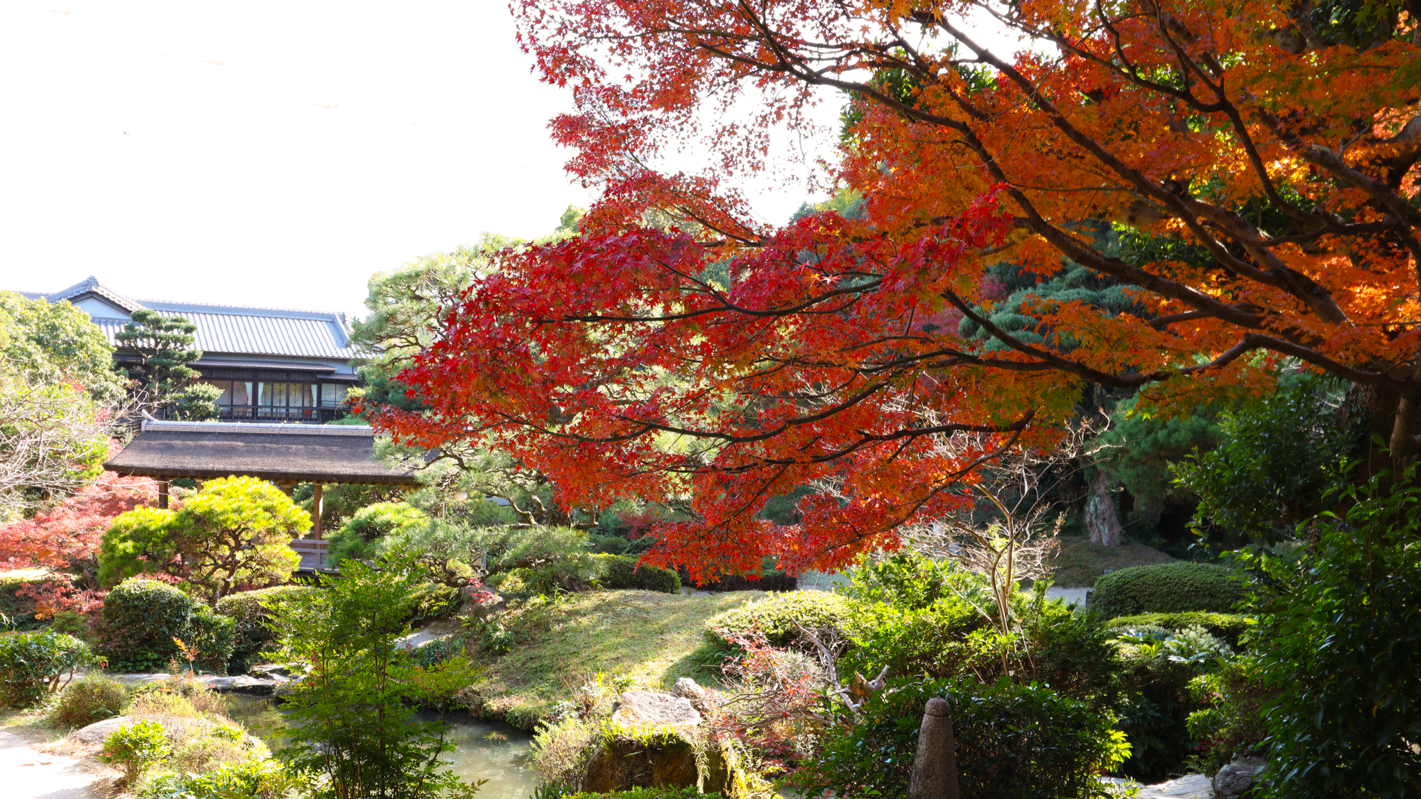 【日本庭園】四季を感じる◇3,500坪の広大な庭園◇