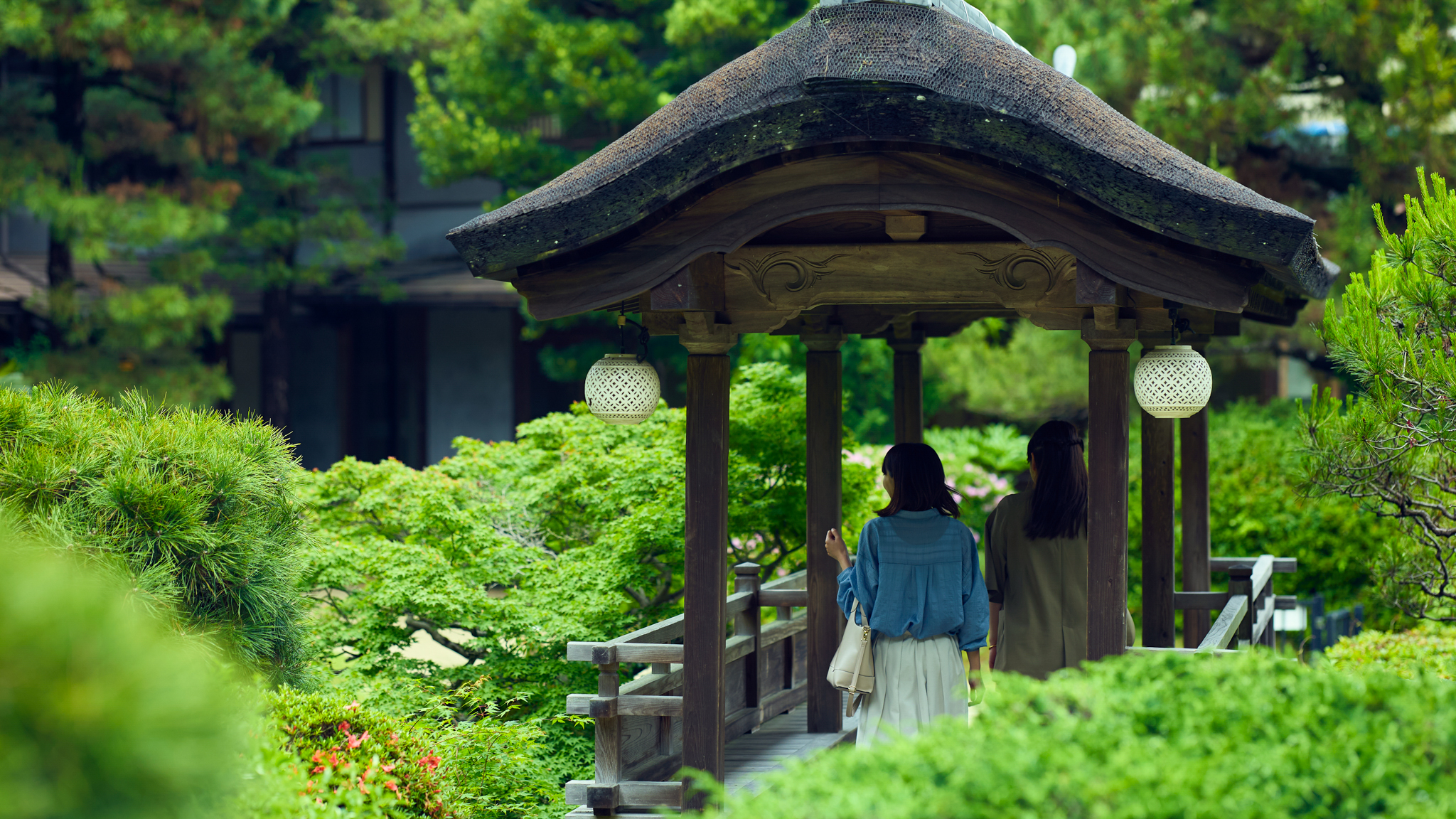 【日本庭園】四季を感じる◇3,500坪の広大な庭園◇