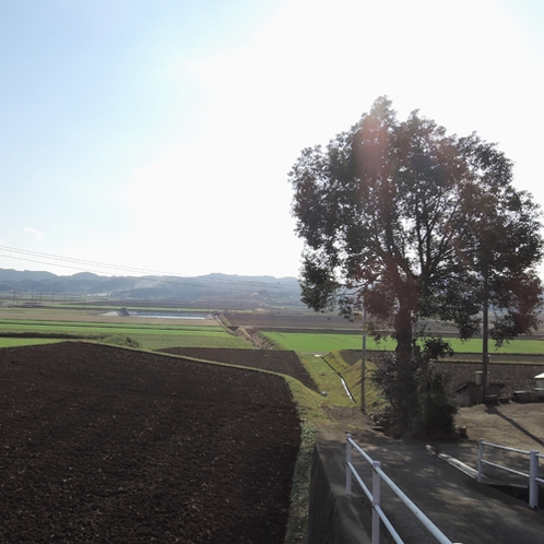 宿周辺の風景