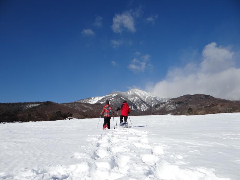 写真5