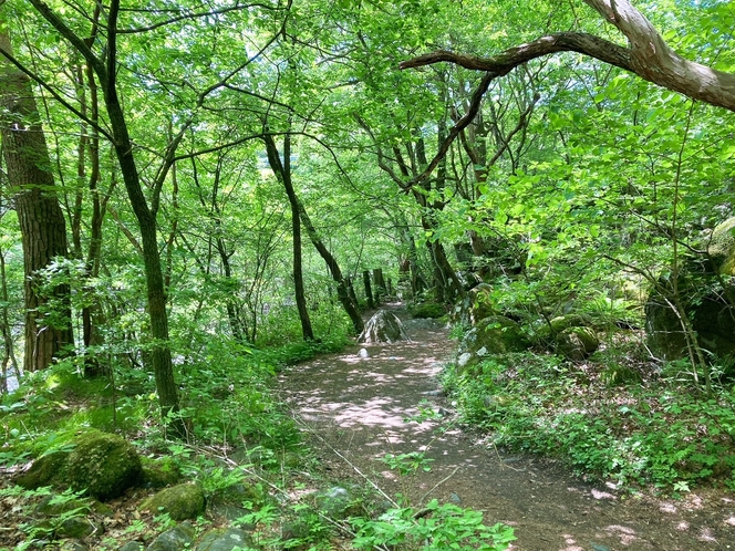 川俣渓谷遊歩道