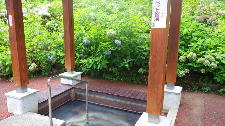 *【赤倉温泉足湯公園】なんと！ペット専用の足湯まで！！
