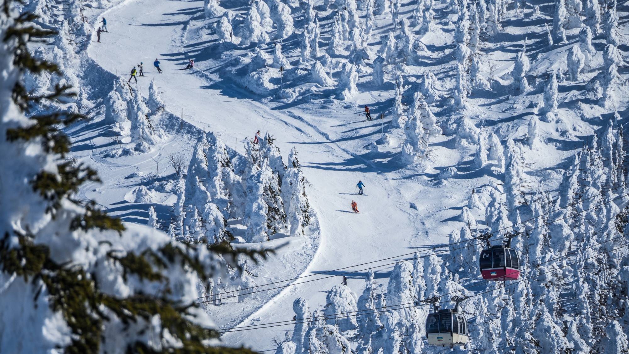 【大晦日・元日限定】スキーを履いてそのままゲレンデへ！雪質抜群の蔵王でスキー＆温泉三昧〇特別会席