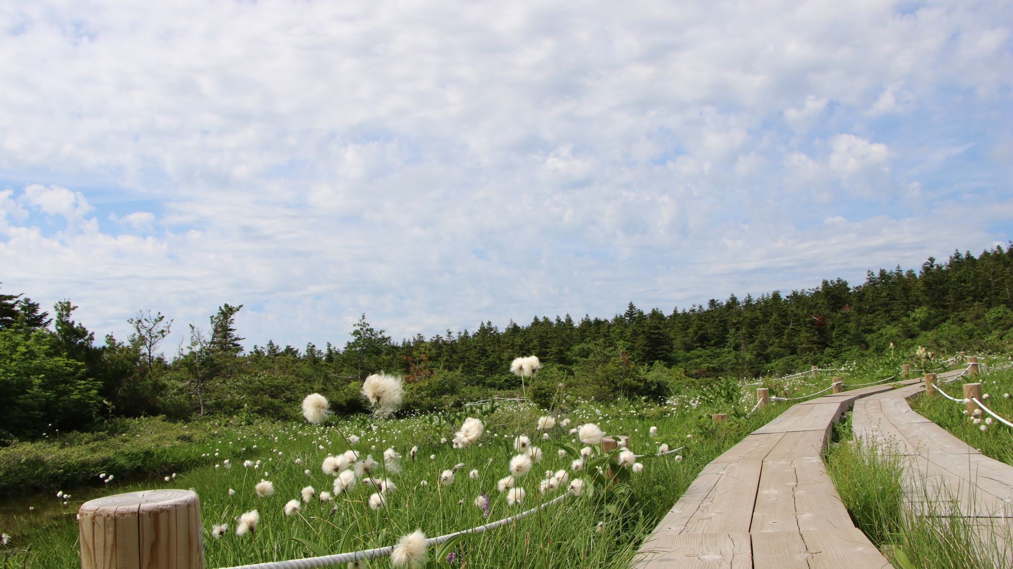 【蔵王トレッキング〇朝食付】登山に嬉しい特典付♪高山植物に秋は紅葉！強酸性の温泉と郷土料理の朝ごはん