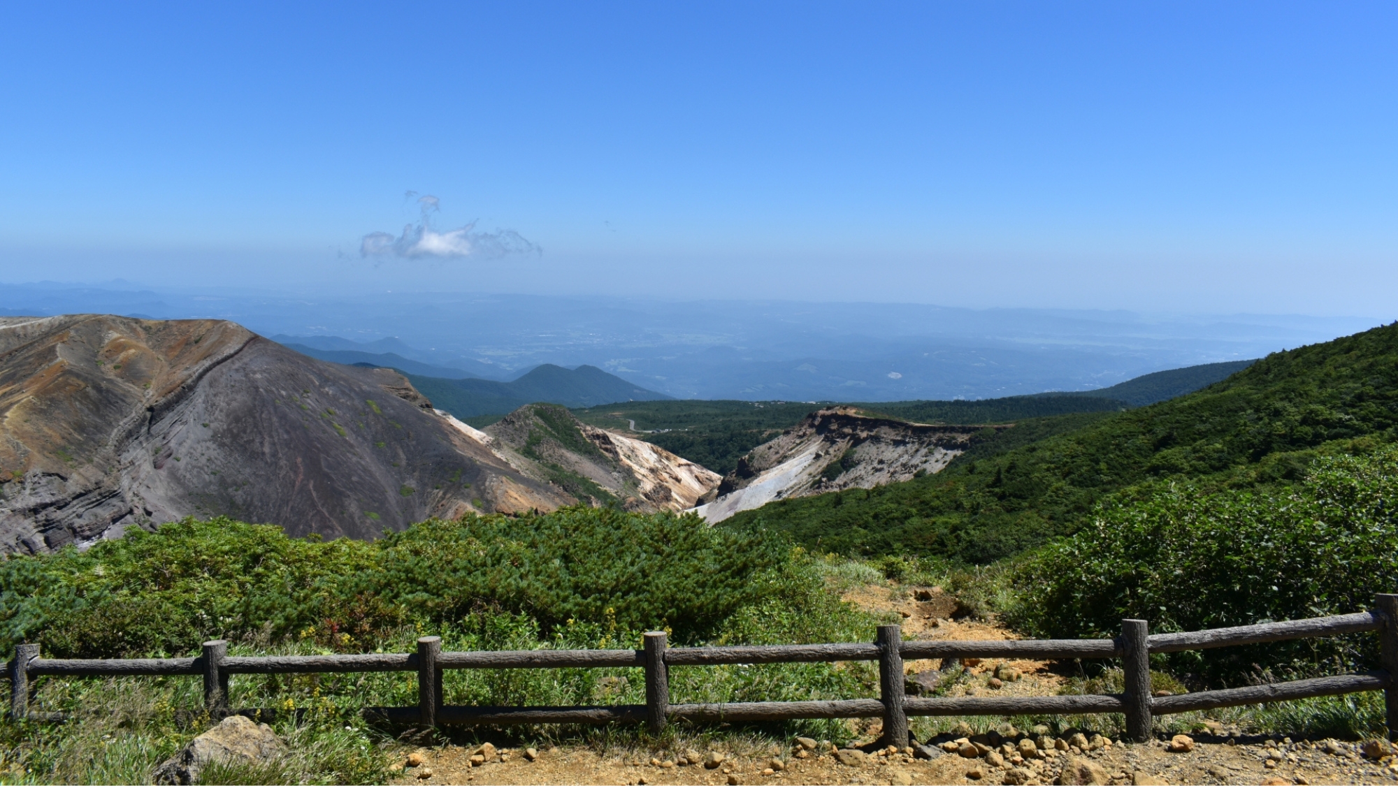 夏の美しい木々を臨む。青空と緑のコントラストをお楽しみください！