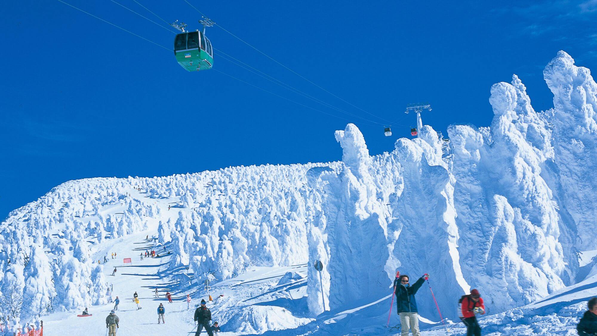 【樹氷】冬の風物詩！雪原を埋め尽くす、大自然の神秘と奇跡を間近でお楽しみください。