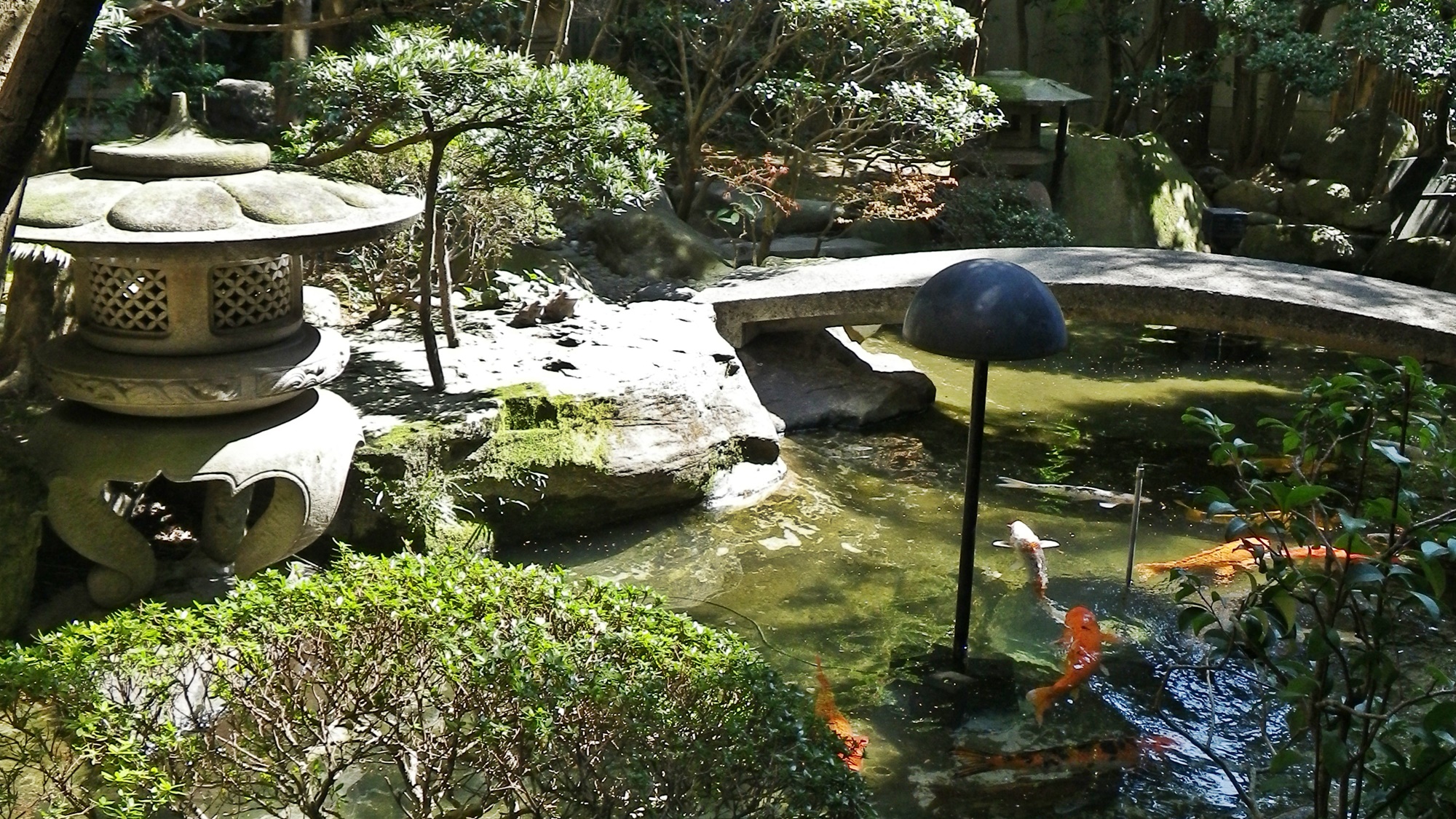 *■日本庭園■当館には自慢の日本庭園がございます♪窓からからご覧いただけるお部屋もございます。